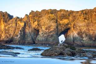 Bandon Beach-3137